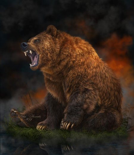 Медведь арт