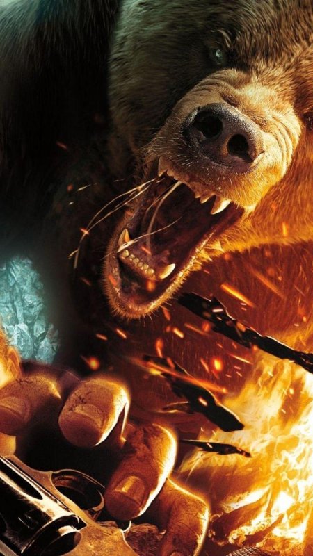 Разъяренный медведь