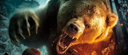 Медведь в ярости