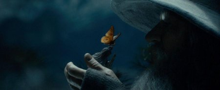 Гэндальф и мотылек гендальф