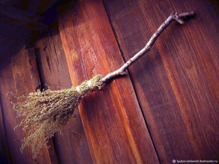 Метла ведьмы