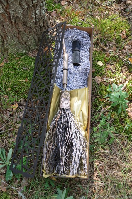 Ведьмина метла