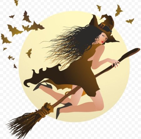 Ведьма на метле