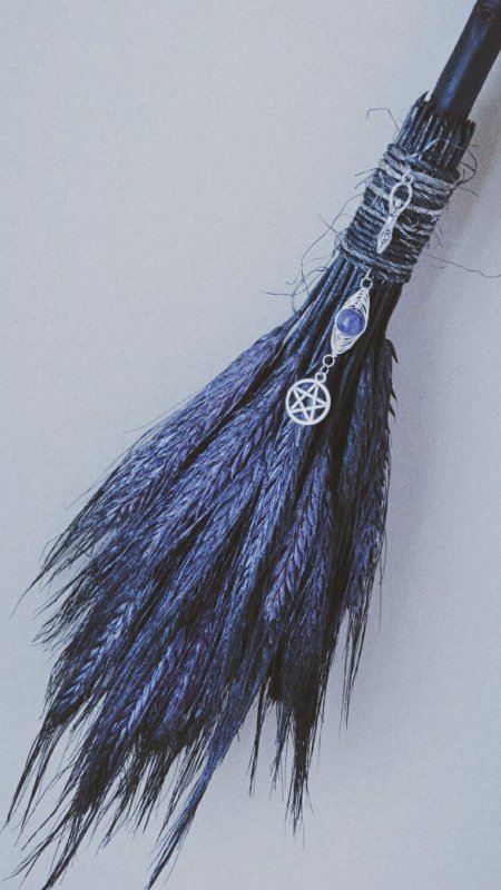 Ведьминские метлы викка