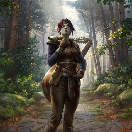 Орк бард днд