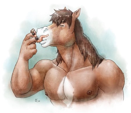 Фурри лошади