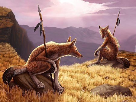 Антро койот