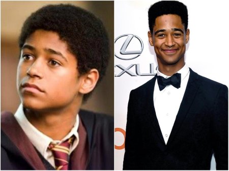 Альфред энок в гарри поттере