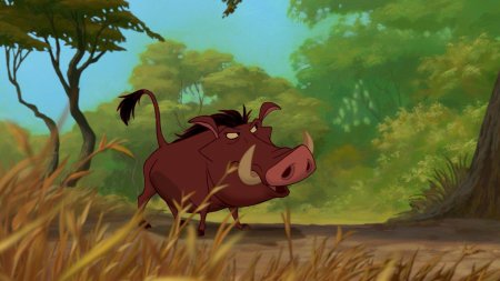 Король лев акуна матата тимон и пумба