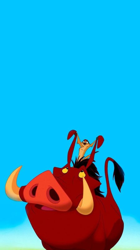 Тимон и пумба акуна матата