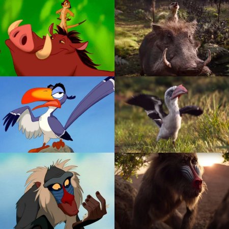 Король лев зазу