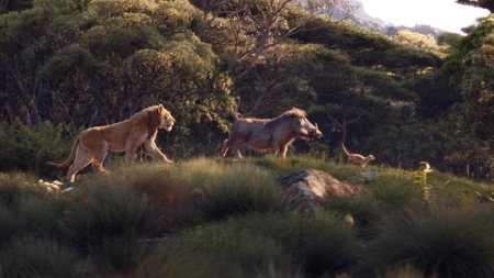 Король лев фильм