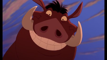 Король лев пумба