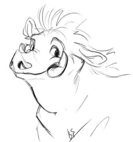 Раскраска тимон и пумба