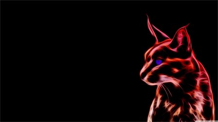 Неоновые коты