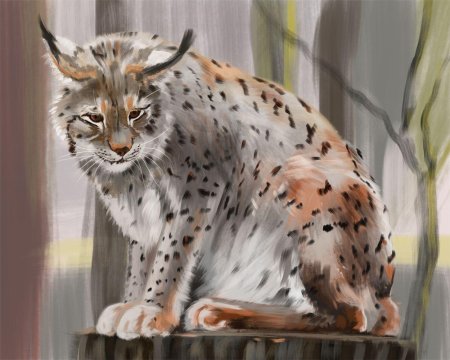 Рысь рисунки