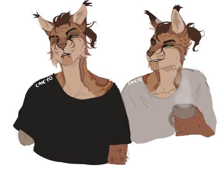 Фурсона рысь