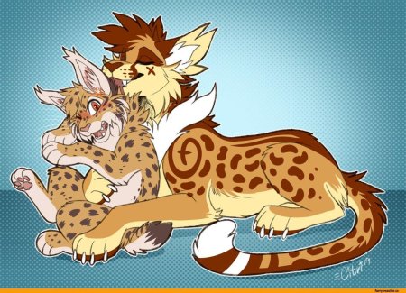 Рысь николь furry