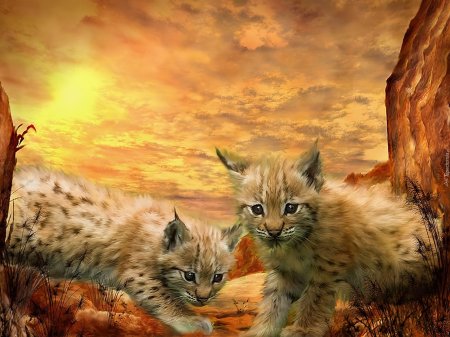 Рысь детеныши рысята