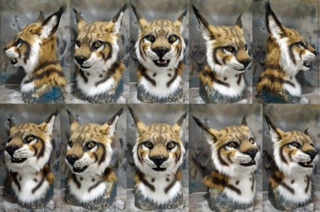 Фурсьют каджит