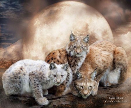 Рысь и рысенок