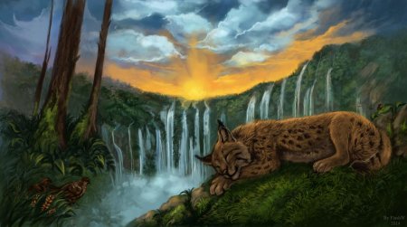 Коты воители рысь