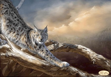 Рысь картина