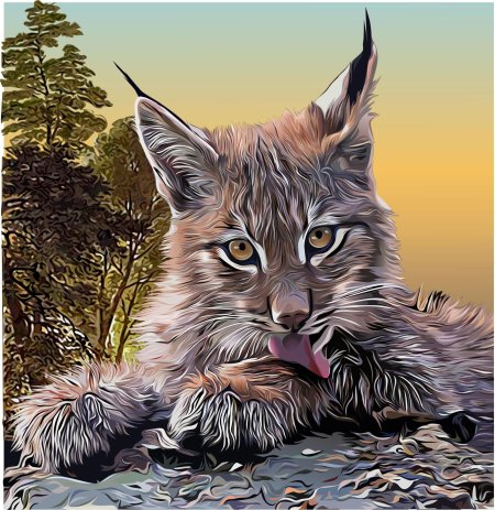 Картины по номерам рысь