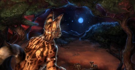 Фурии животные