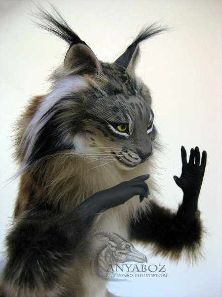 Рысь фэнтези