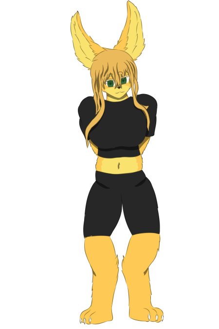 Фурри трансформация