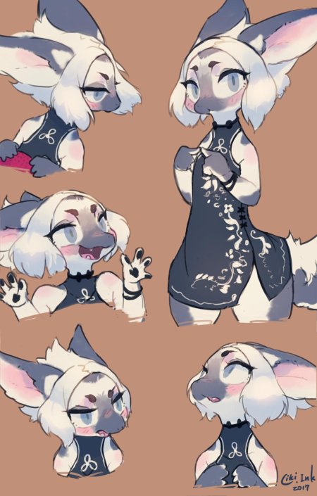 Адопт фурри