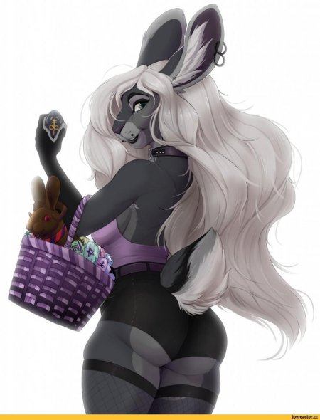 Фэндомы фуротика