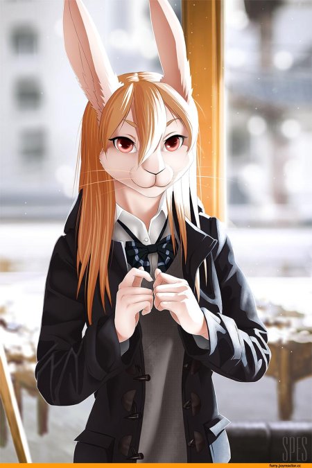 Фурри кролик