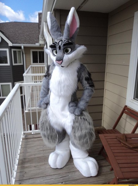 Фурсьют кролик