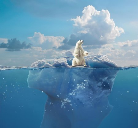 Северный ледовитый океан белый медведь