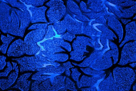 Цвета синего