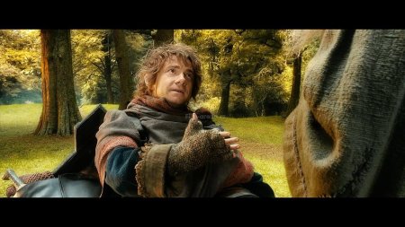 Бильбо бэггинс хоббит пустошь смауга