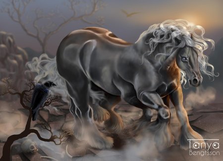 Рисунки лошадей