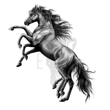 Лошадь на дыбах рисунок карандашом