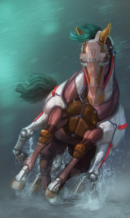 Кони лошади