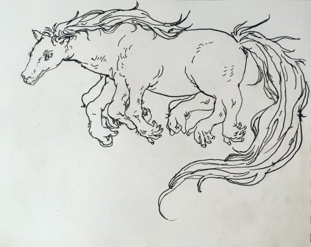 Раскраска лошадей