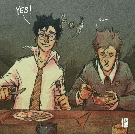 Мародеры гарри поттер