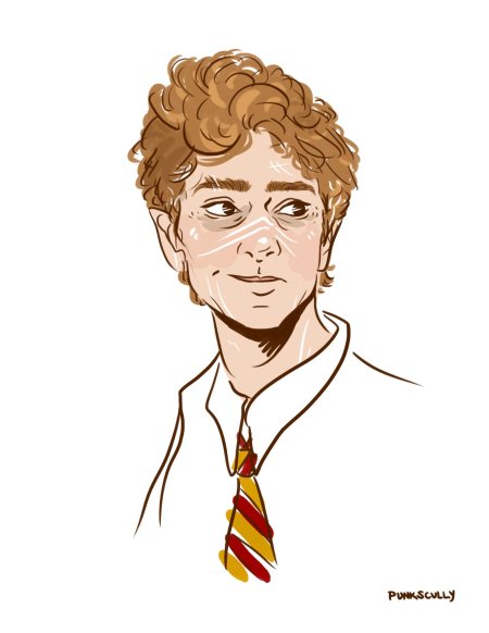 Портрет гарри поттера