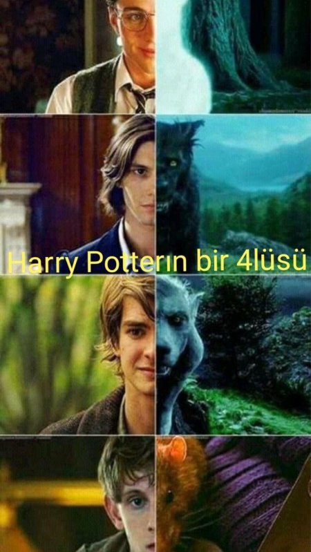 Азкабана гарри поттер