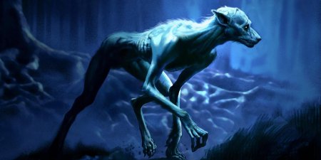 Профессор люпин оборотень