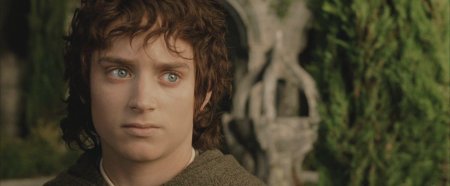 Властелин колец фродо