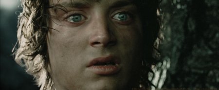 Элайджа вуд фродо