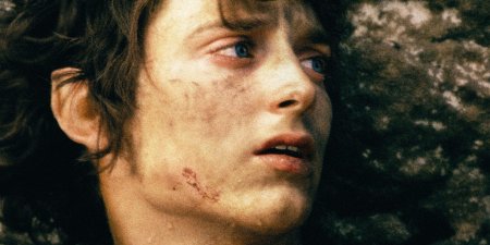 Властелин колец фродо