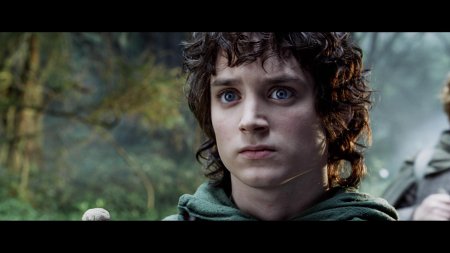 Властелин колец фродо